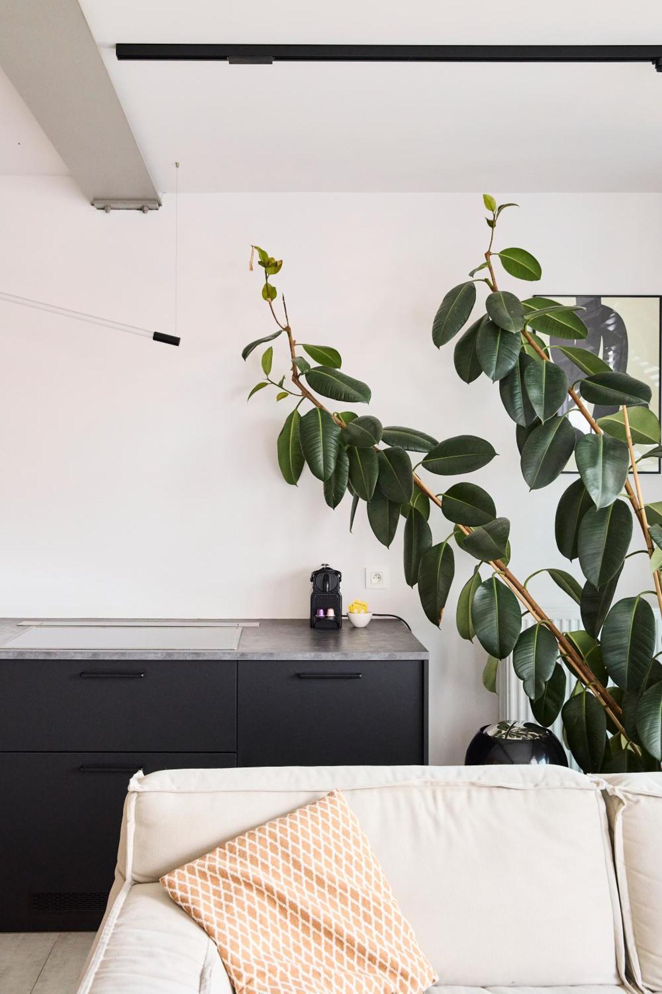 The Banker Antwerpen - Free Parking Apartment Bagian luar foto